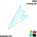 ZHM - Chrome Butterfly
