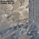 Magnetik Flux - Inside