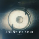 Distort - Sound Of Soul (Original Mix)