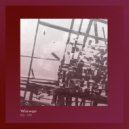 Wirrwarr - Pls -100 (Van Der Meer Remix)