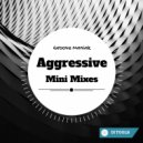 Groove Maniak - Aggressive 05 (Original Mix)