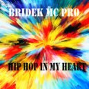 Bridek Mc Pro - Voice From Underworld
