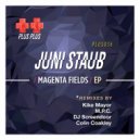 Juni Staub - Domestic Beat (M.P.C. Remix)