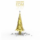 Feedson ft. Edward D'Garch - Losing Control