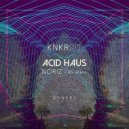 NoriZ - Acid Haus (IBX Remix)