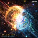 Ra Root, Loom - Illogical System (Original Mix)