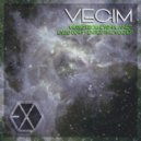 Vegim - Enter The Void