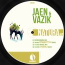 Jaen & Vazik - Electra (Touchtalk Remix)