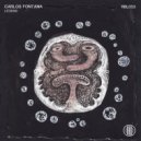 Carlos Fontana - The End (Original Mix)