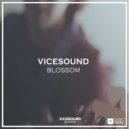 ViceSound - Evil Voice