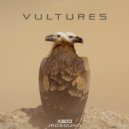 jrdsound - Vultures 2016 (Original Mix)