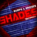 Bumps & Bridges - Shades (Alden F Remix)
