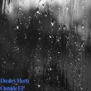 Dmitry Hertz - Outside Flies