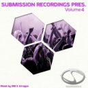 Amir Shahlaee - Summer Island (Original Mix)