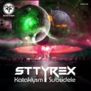 Sttyrex - Subsidele