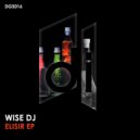 Wise DJ - Out Of Date (Original Mix)