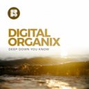 Digital Organix - The End