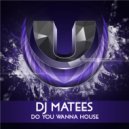 DJ Matees - Do You Wanna House