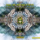 The Evil Monkey - Isolated System (Original Mix)