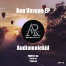 Audiomolekul feat. Beatpunx - Radiate