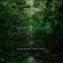 Roswell - Interference Pattern (Original Mix)