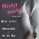 Boy Lost - Mister Mister Remixes