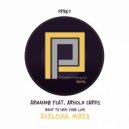 Armandø Feat. Arnold Jarvis - Want To Have Your Love