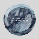 Danny Dulgheru - Experiment 01 (Original Mix)