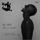 DJ Bee - God Is Black