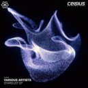 Picota & Kumbh - It's You Again