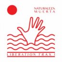 Naturaleza Muerta - 40