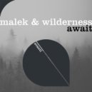Malek, Wilderness - Await