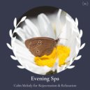 Balanced Life - Diversity Of Yoga (Original Mix)