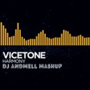 Vicetone vs. Morgan Page feat. Nadia Ali - Carry Harmony (DJ Andmell MashUp)