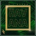 Camila Cabello - Havana (Z & Ruddo Mix)
