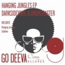 Darksidevinyl, DrumsMaster - Hanging Jungles