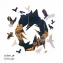 Naden - Claddagh