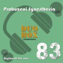 Probuzeni Synesthesia - Eden Fruit (Original Mix)