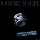 Native Intelligence - Flip The Diamond
