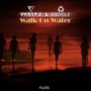 Vertex, R3cycle - Walk On Water