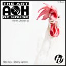 The Art of House - New Soul