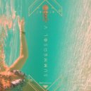 Novalima & Israel Vich - Shantallion