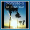 Domineeky - Nu Northern Funk