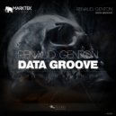 Renaud Genton - Data Groove