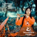 Sublitrance - Externalize