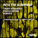 Fuminori Kagajo feat. Tracy Hamlin - Into The Sunshine