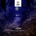 LiEnN - Trainwreck (Original Mix)