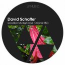 David Schaffer - Goodbye My Big Friend