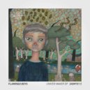 Flamingo Boys - She Said Operate (Original Mix)