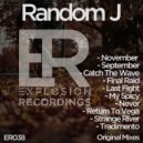 Random J - Return To Vega
